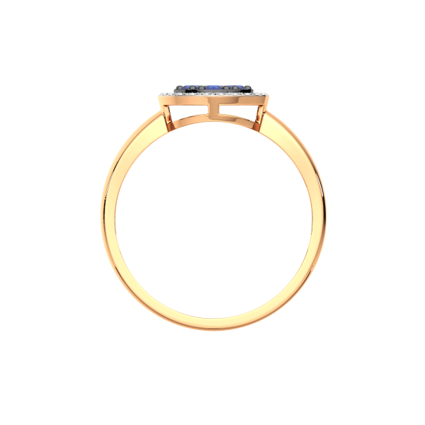 Кольцо 2D10248.14K.R.ZZ Кольцо 2D10248.14K.R.ZZ