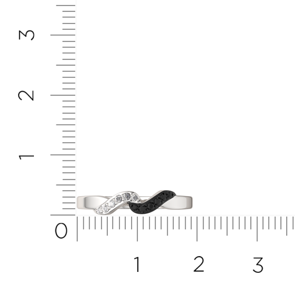 Кольцо 0210813.ZZ