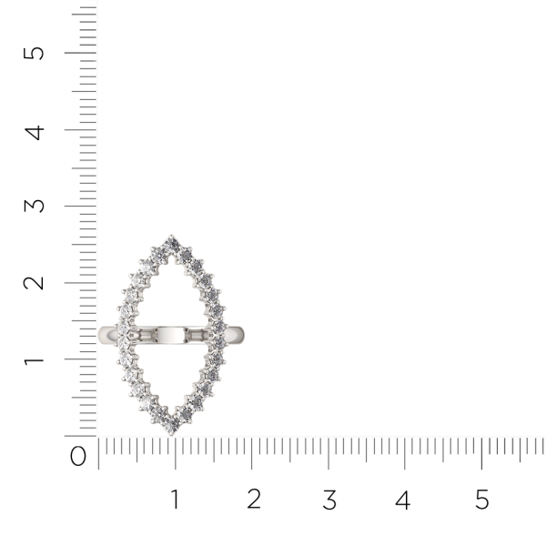 Кольцо 0210691.ZZ