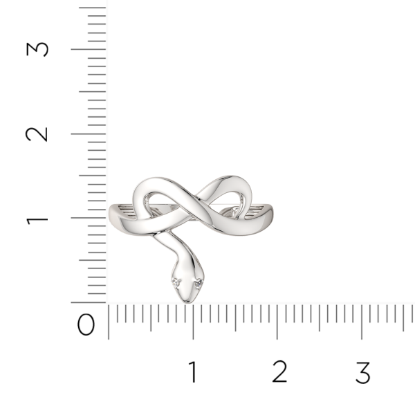 Кольцо 02101127.ZZ