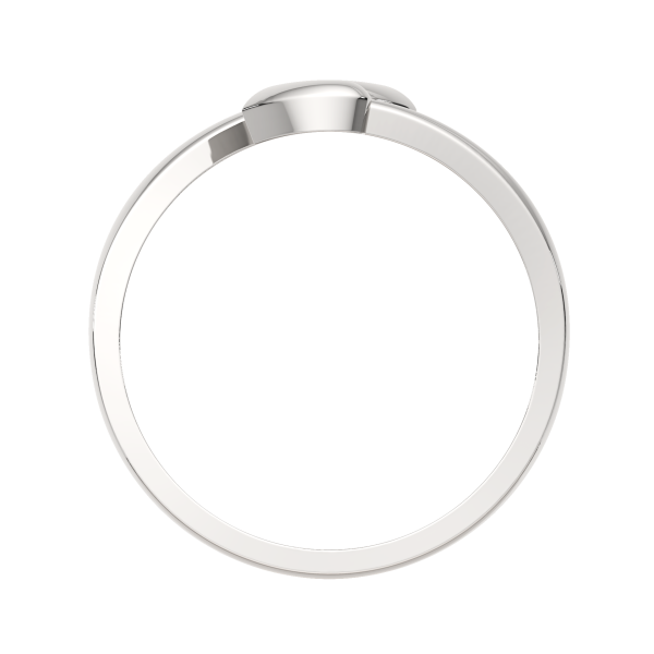 Кольцо 0200113.ZZ
