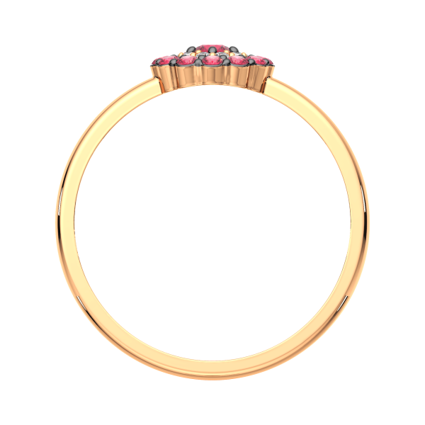 Кольцо 2D30205.14K.R.ZZ Кольцо 2D30205.14K.R.ZZ