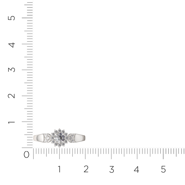 Кольцо 02101043.ZZ