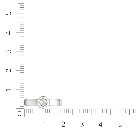 Кольцо 02D0067.ZZ