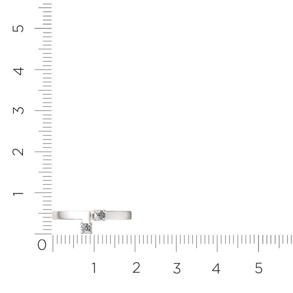 Кольцо 0210445.ZZ