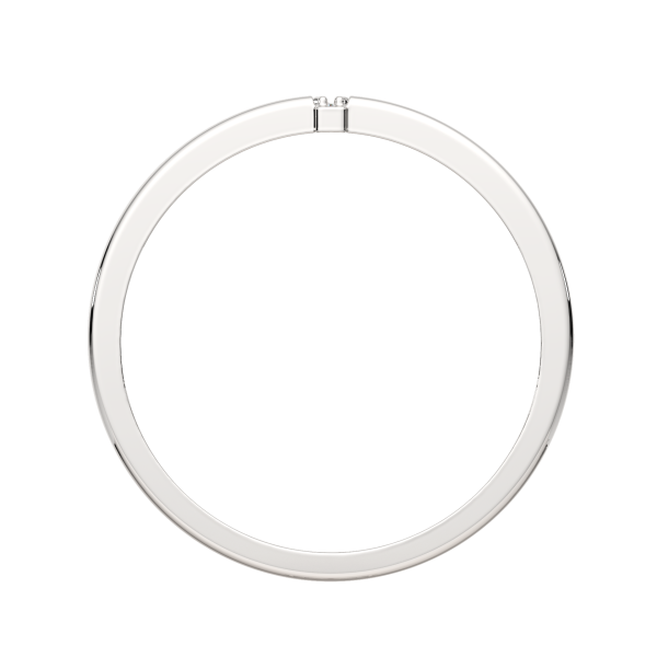 Кольцо 0210895.ZZ Кольцо 0210895.ZZ