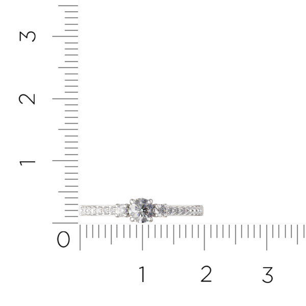 Кольцо 02101023.ZZ