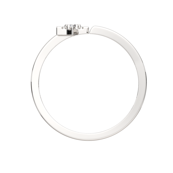 Кольцо 0210666.ZZ Кольцо 0210666.ZZ