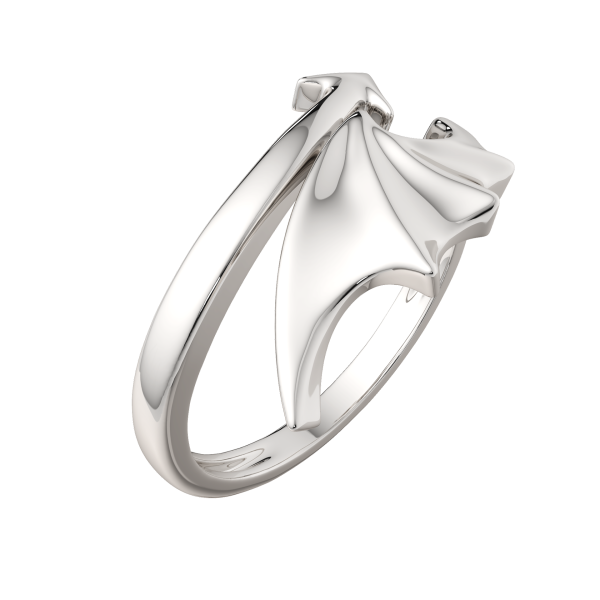 Кольцо 0200209.ZZ