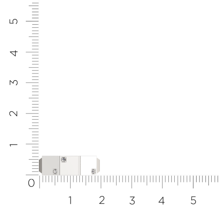 Кольцо 0210589.ZZ