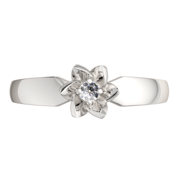 Кольцо 0210838.ZZ Кольцо 0210838.ZZ