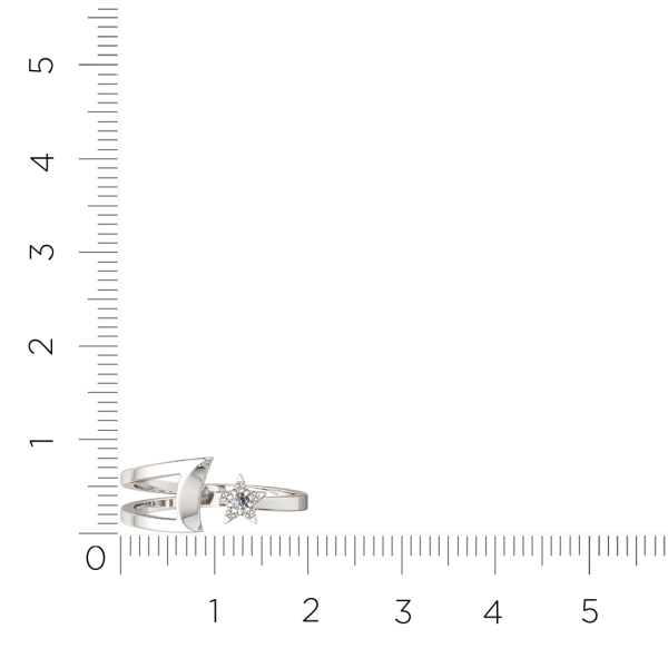 Кольцо 0210666.ZZ