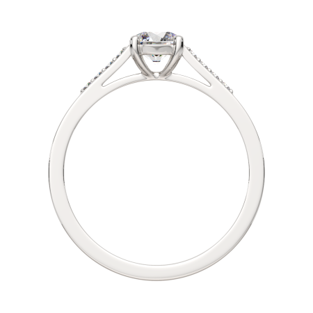 Кольцо 02101047.ZZ