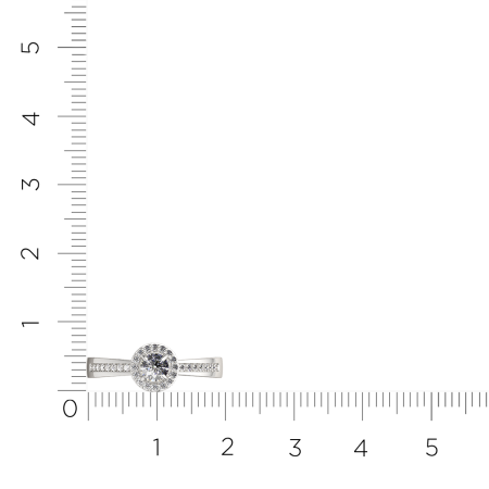 Кольцо 0210684.ZZ