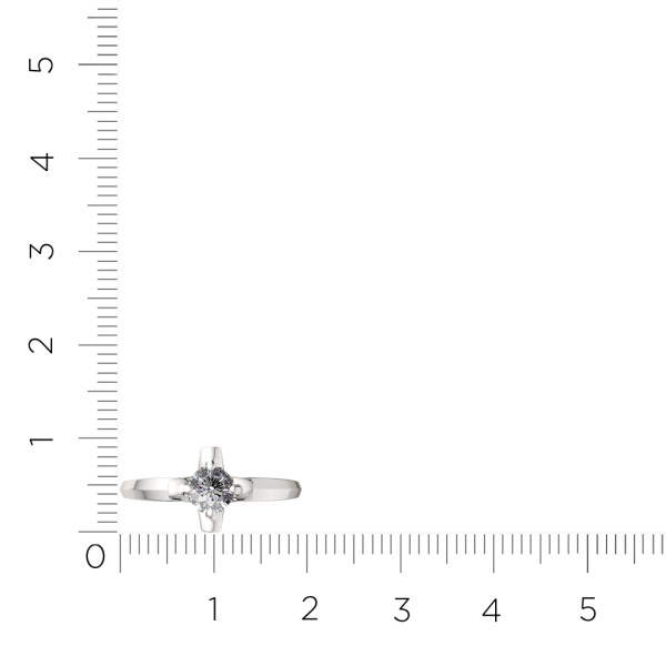 Кольцо 02101065.ZZ Кольцо 02101065.ZZ