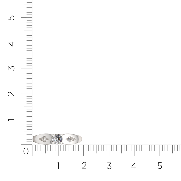 Кольцо 0210733.ZZ