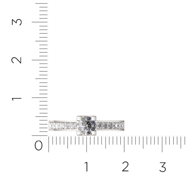 Кольцо 02101490.ZZ