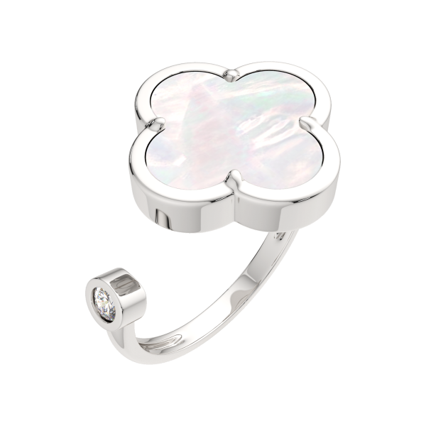 Кольцо 02G08170.ZZ