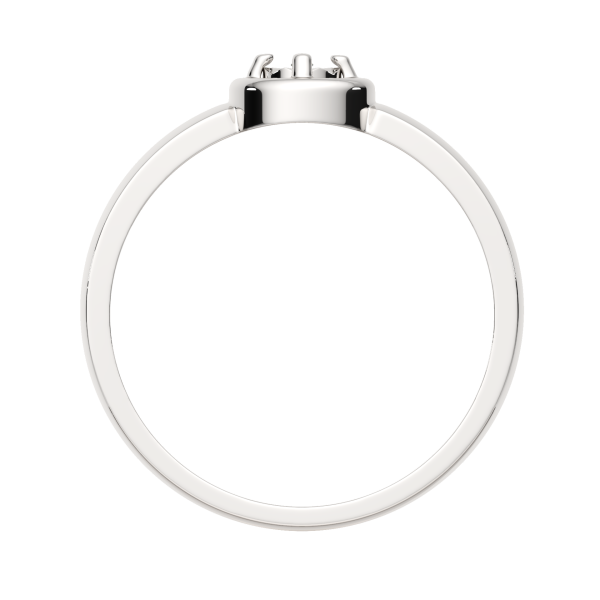 Кольцо 02D0067.ZZ