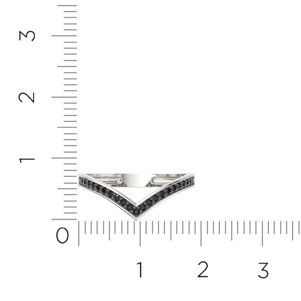 Кольцо 02101220